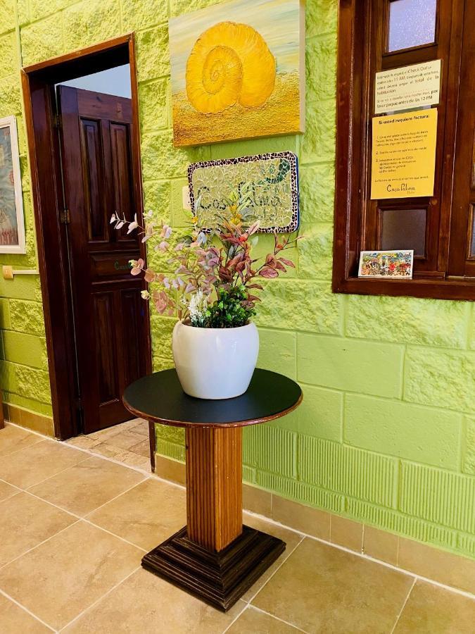 Casa Palma Hotel Playa del Carmen Zewnętrze zdjęcie