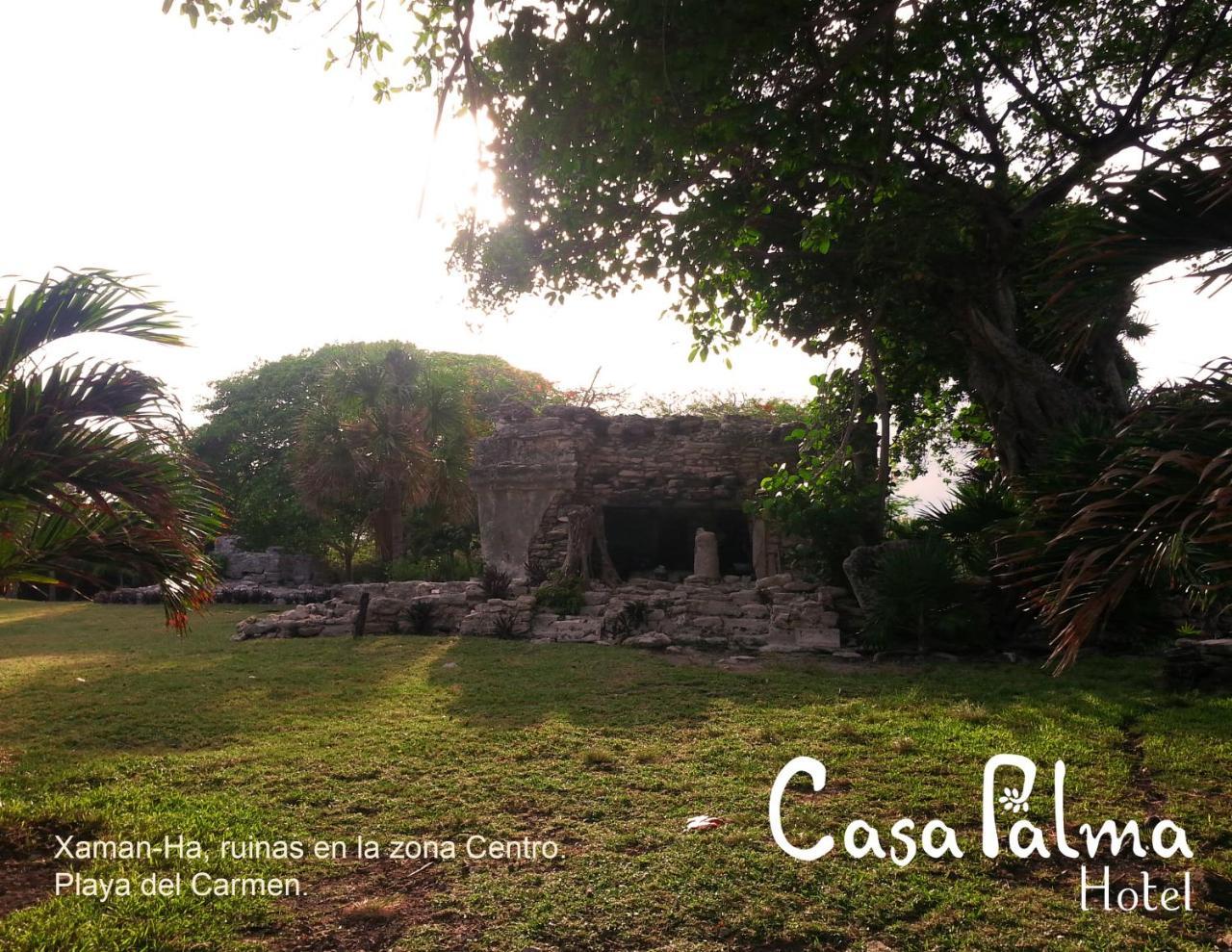Casa Palma Hotel Playa del Carmen Zewnętrze zdjęcie