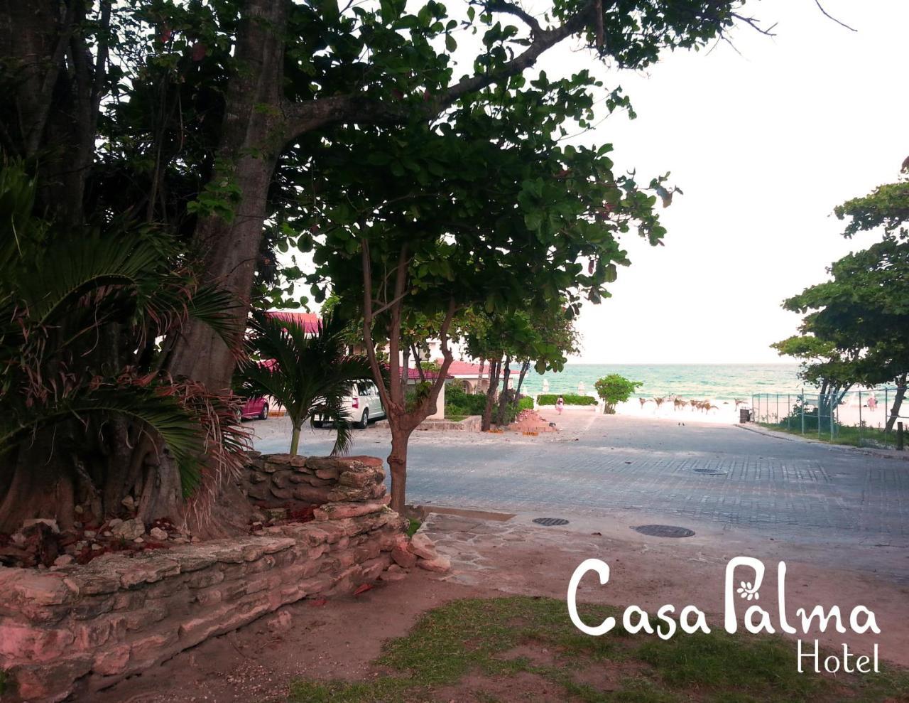 Casa Palma Hotel Playa del Carmen Zewnętrze zdjęcie