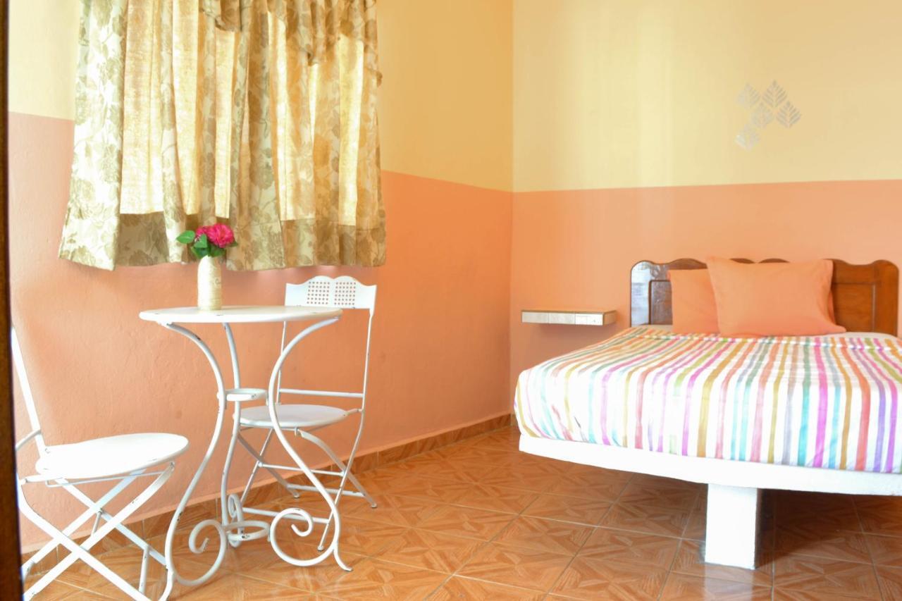 Casa Palma Hotel Playa del Carmen Zewnętrze zdjęcie