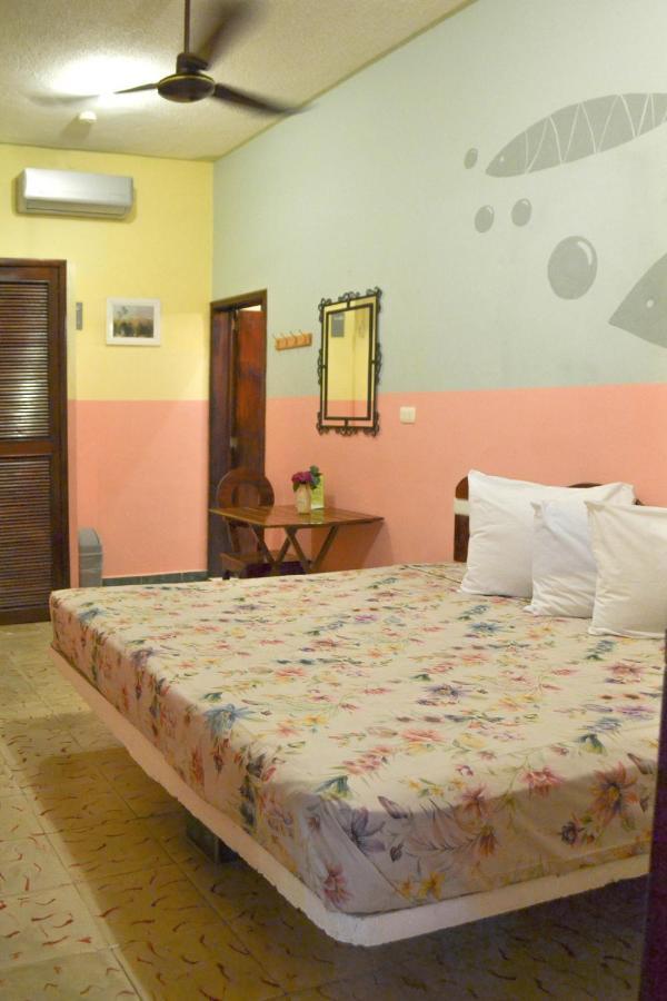 Casa Palma Hotel Playa del Carmen Zewnętrze zdjęcie